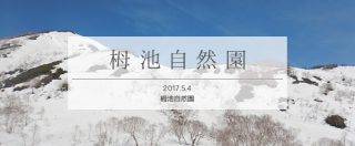 雪山を身近に感じられる栂池自然園