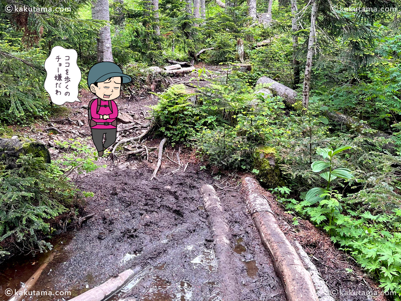 登山用語・泥濘（でいねい・ぬかるみ）を説明する写真と登山者のイラスト