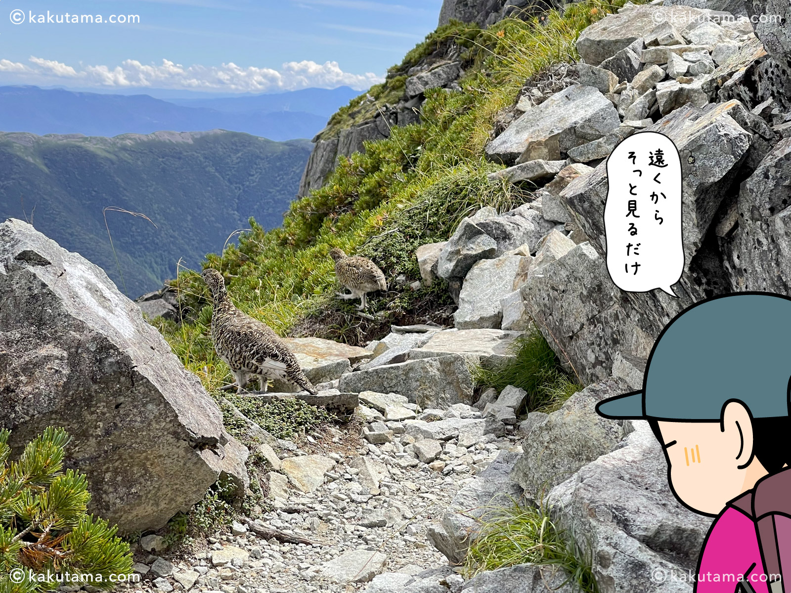 野生生物を遠くから見守る登山者の写真とイラスト