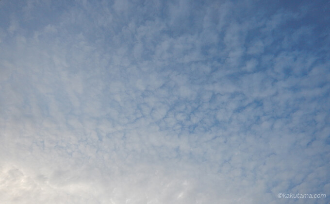 きれいな鱗雲
