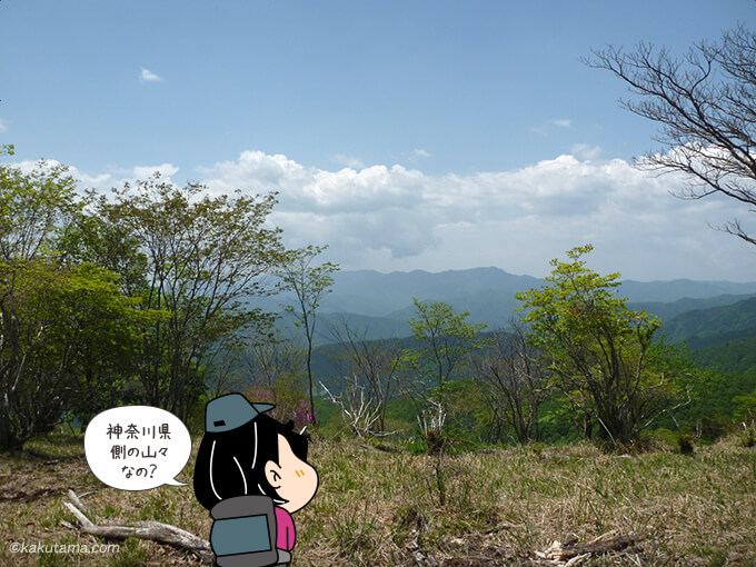 右手に見える神奈川県の山々
