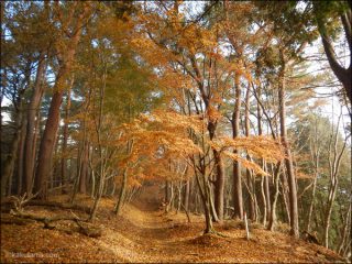 2017年12月02日大倉尾根で塔ノ岳登山