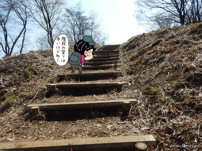 景信山への階段を登る