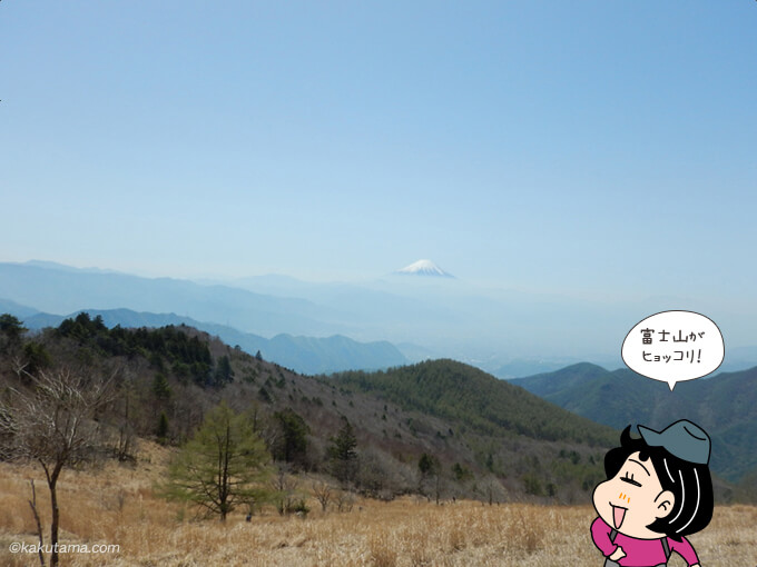 振り返ると富士山