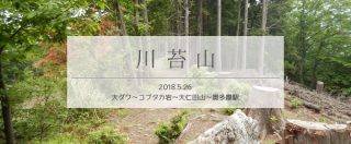 川苔山での道迷い経験を単独周回登山でリベンジ!(後編)