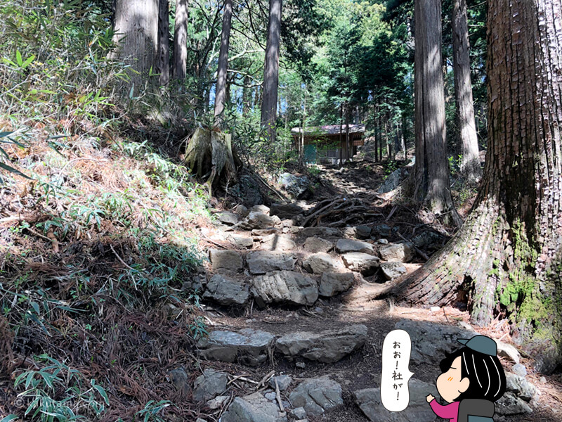 大岳神社への階段