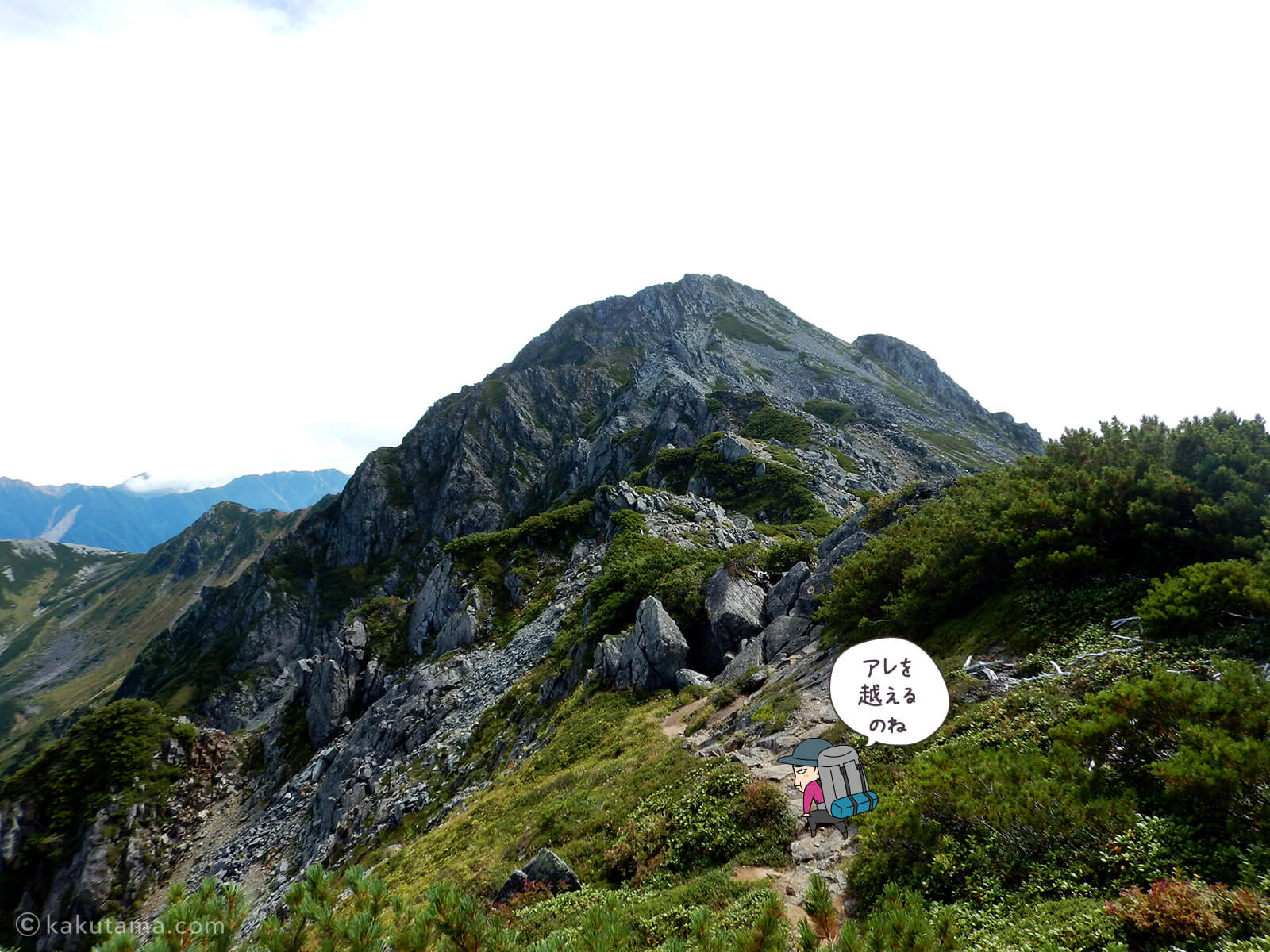 けっこう辛い水晶岳への登山道3