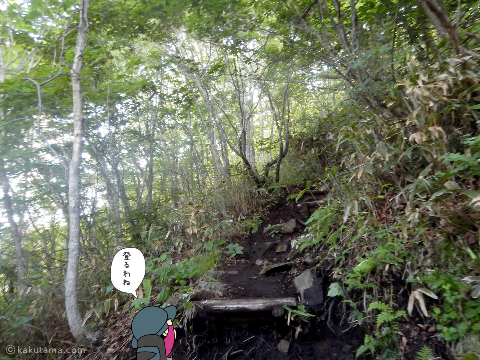 松手山登山コースを登る7
