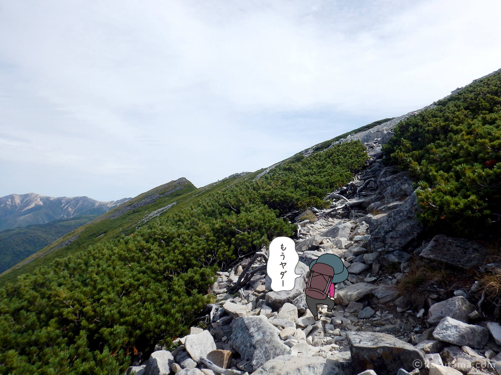 ゴーロになってきた黒部五郎岳への登山道2