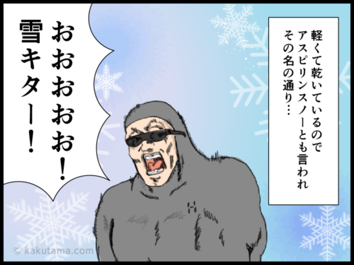 登山用語「粉雪」にまつわる漫画