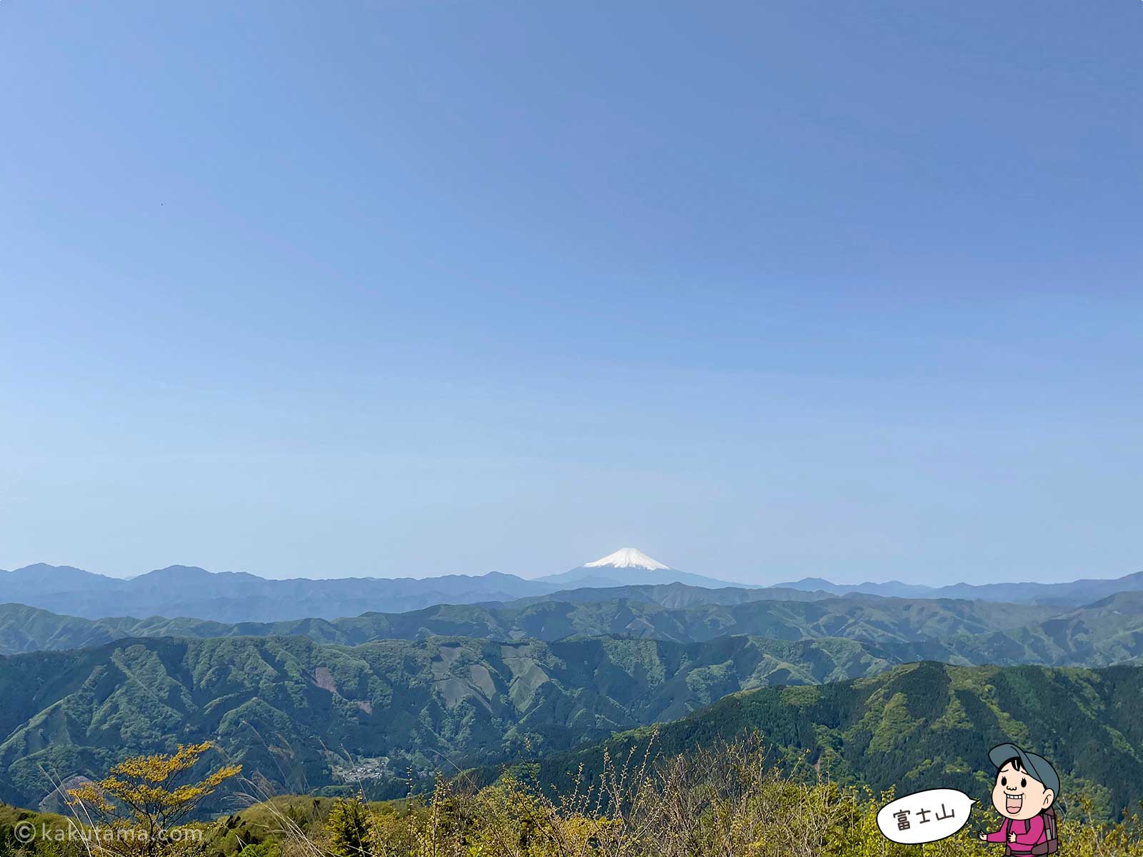 大岳山山頂から見る富士山