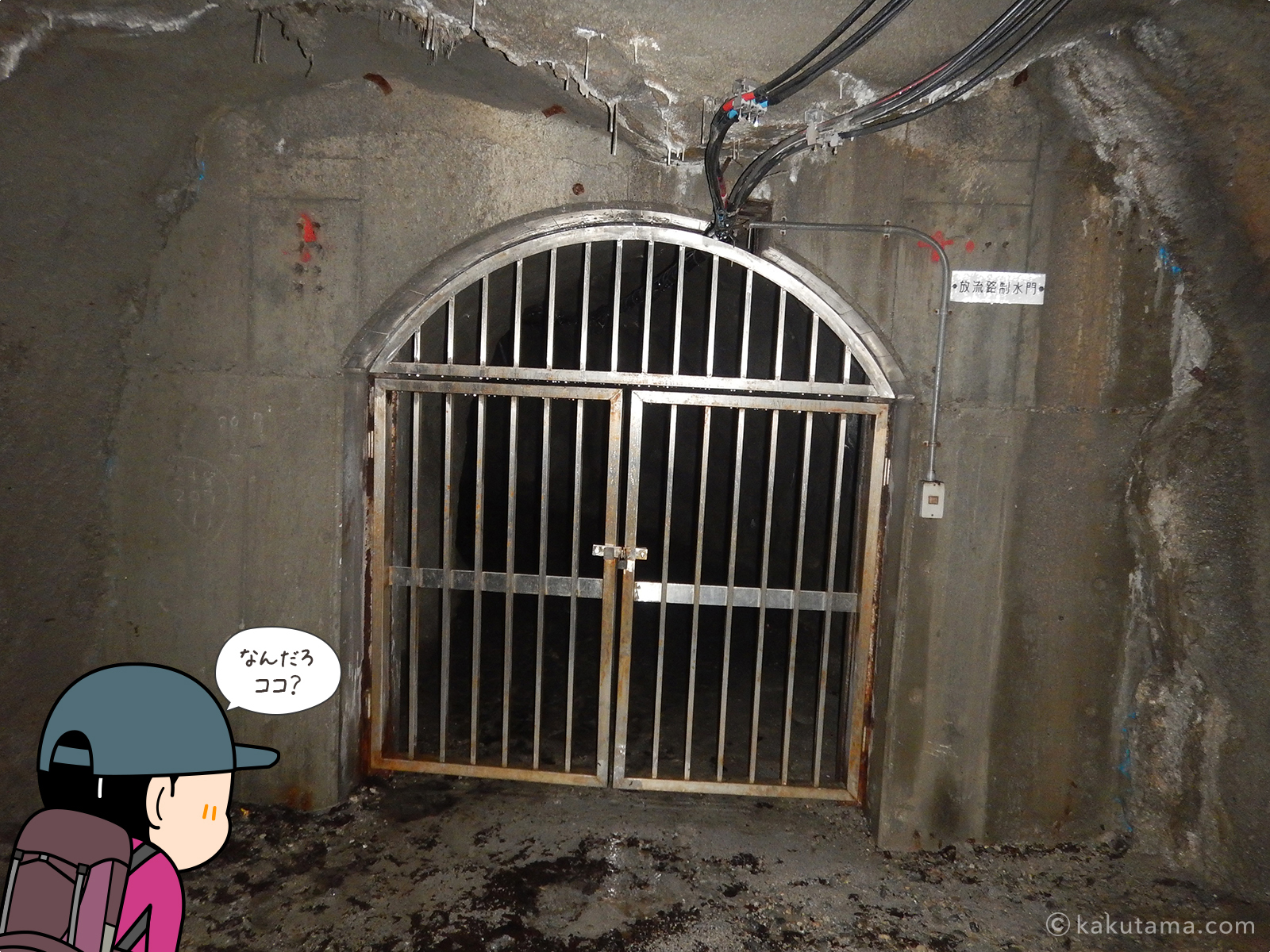 トンネルの中にあったドア