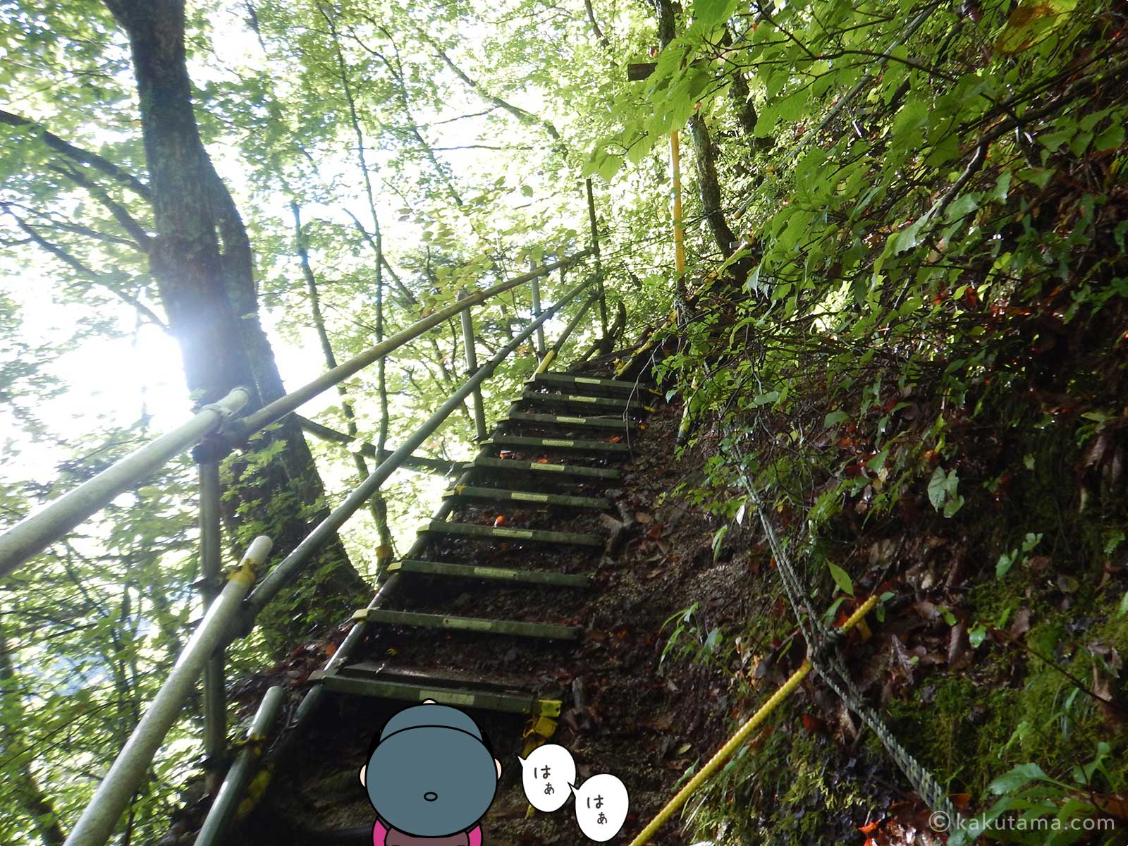 ブナ立尾根登山口の階段2