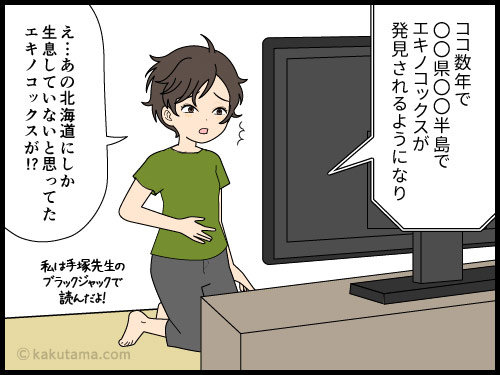 沢水を飲んだ後、お腹の調整が悪いので、エキノコックスの関係に怯える登山者の漫画