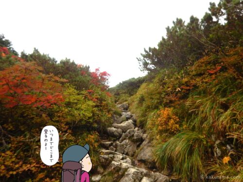 三俣山荘まで登る2