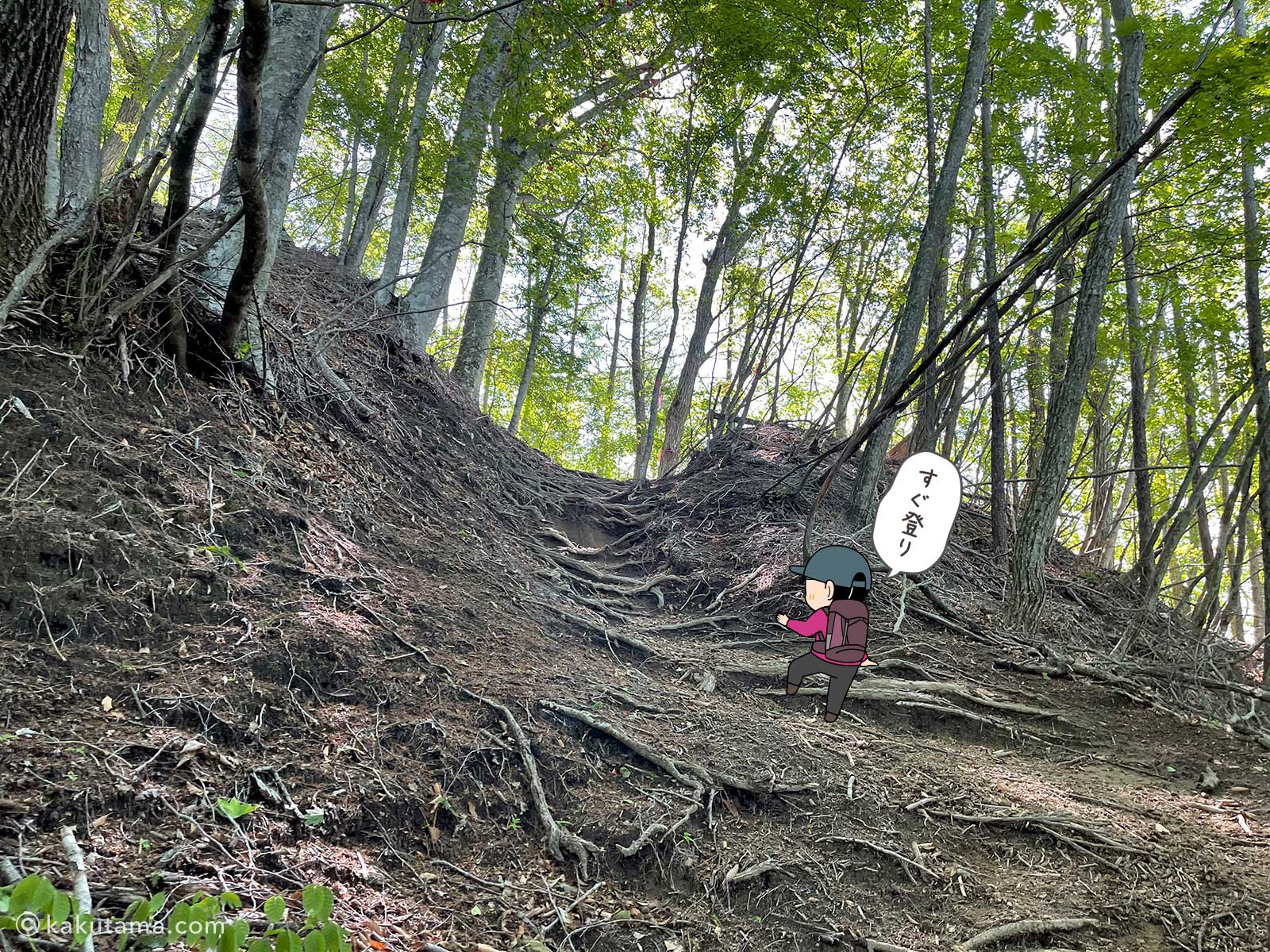 丸川峠から丸川荘へ向かって登る9