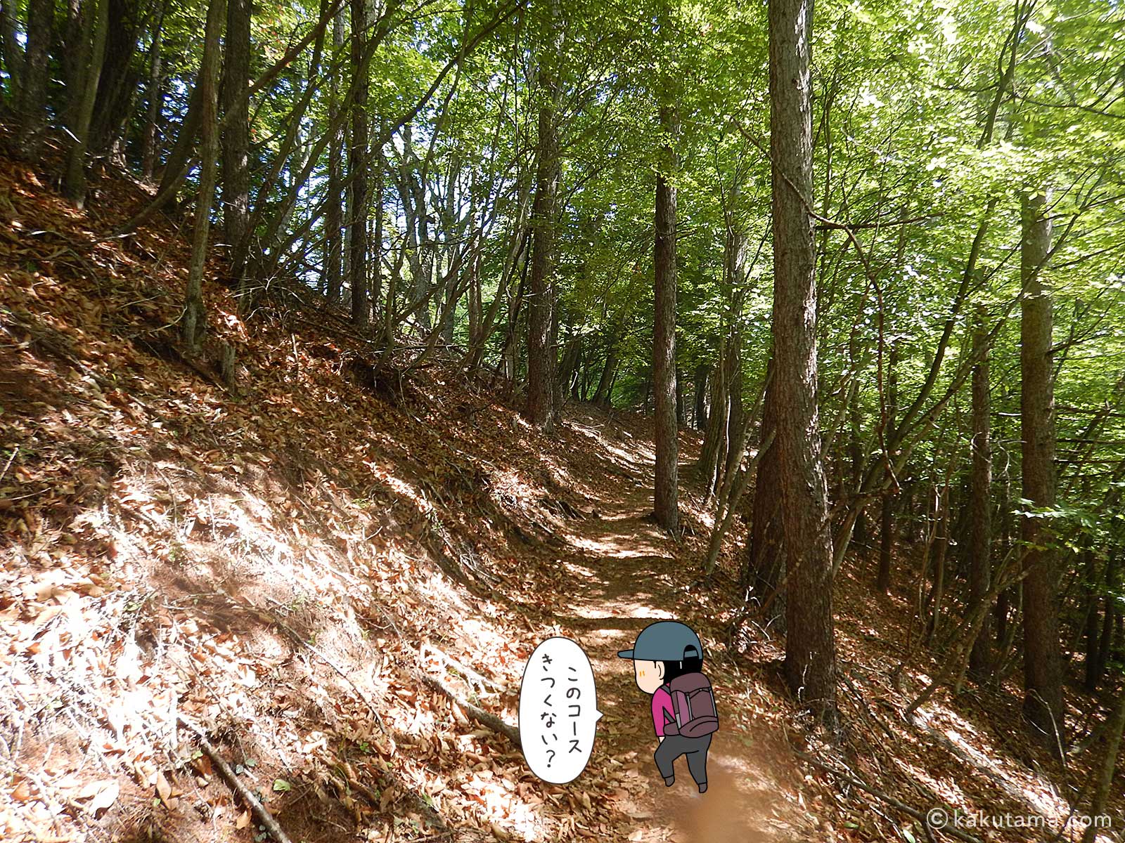 丸川峠から丸川荘へ向かって登る11