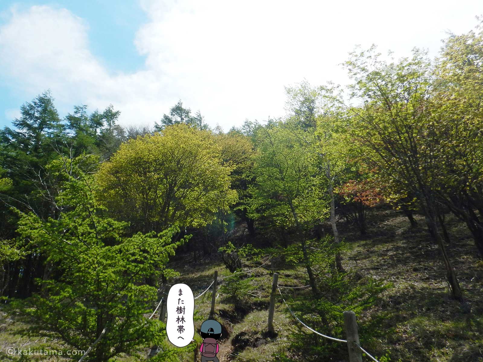 丸川荘から大菩薩嶺へ向かって登る1