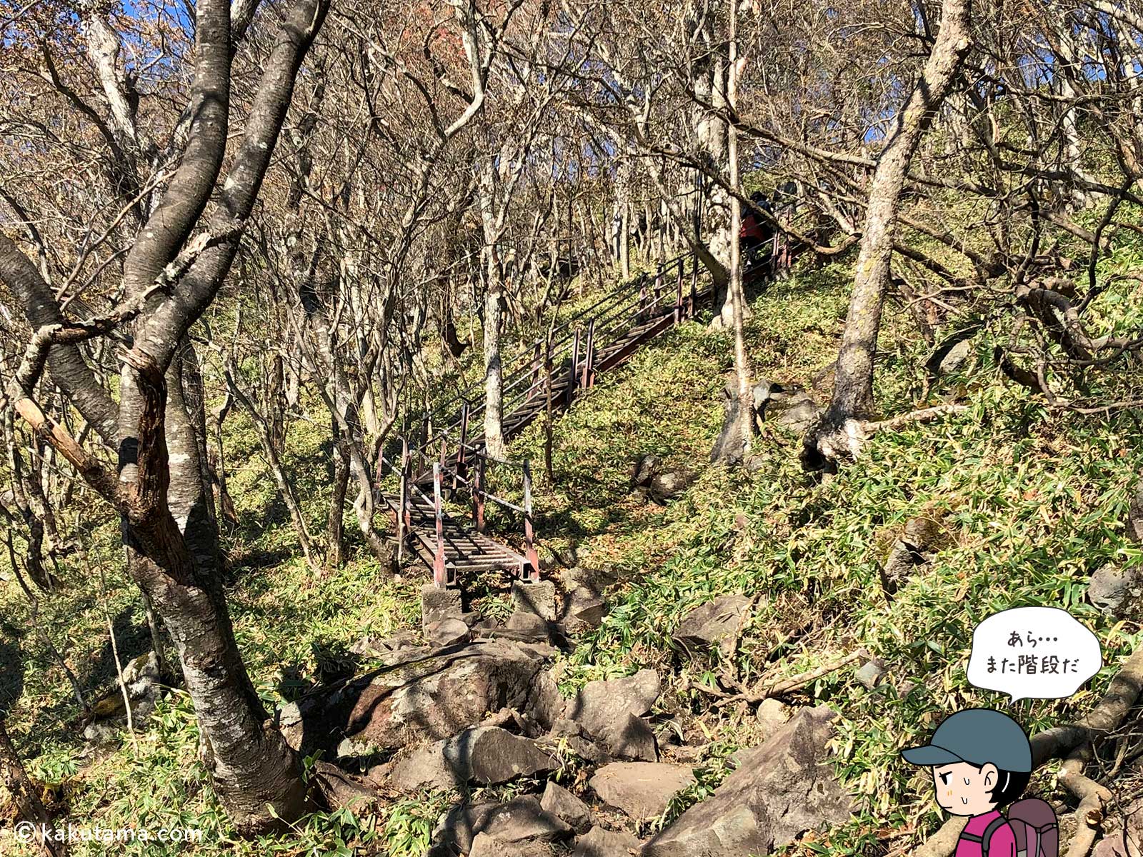 駒ケ岳へ向かってひたすら登る2