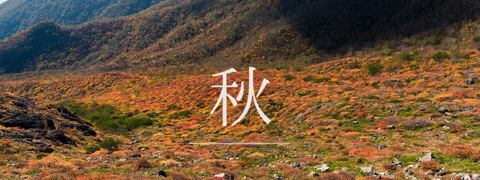 山の写真秋