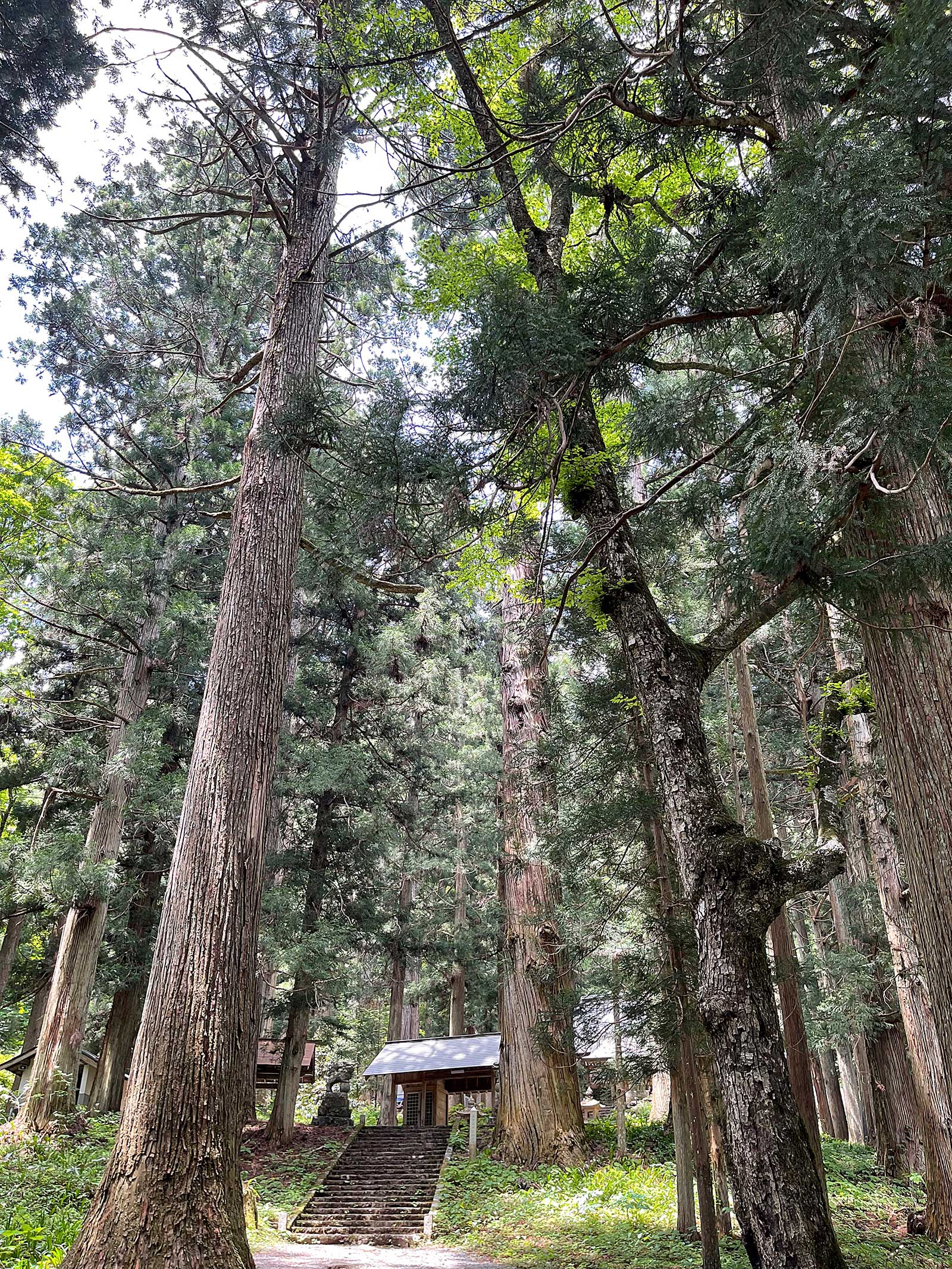 比婆山熊野神社