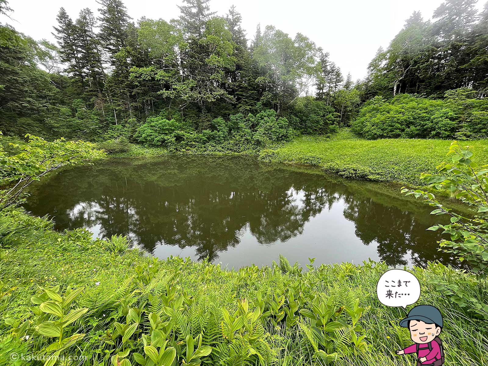 蝶ヶ岳・妖精の池