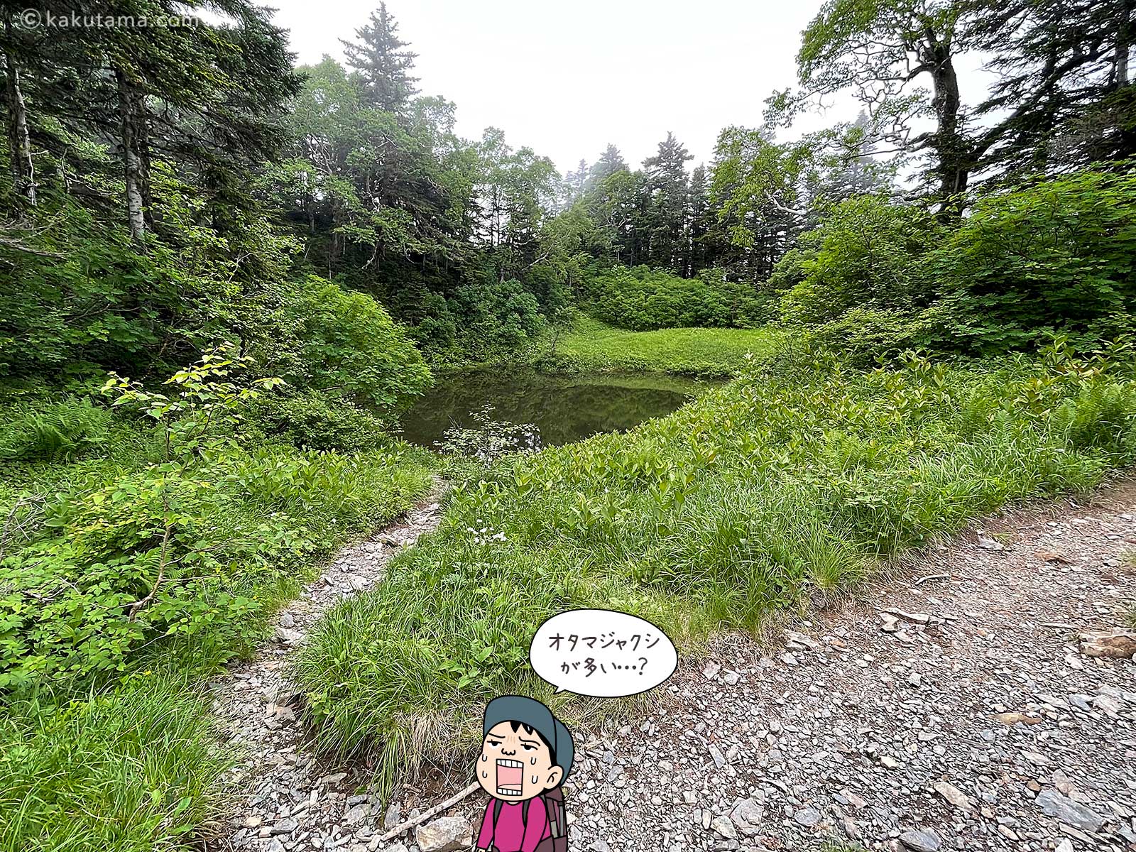 蝶ヶ岳・妖精の池2