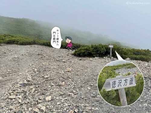 徳沢方面から蝶ヶ岳まで登りきった