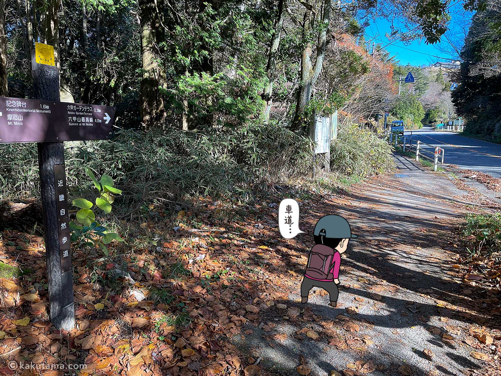 六甲山の登山道と車道の写真