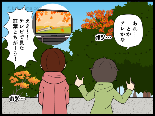テレビで見た高尾山の紅葉を求める登山者の漫画