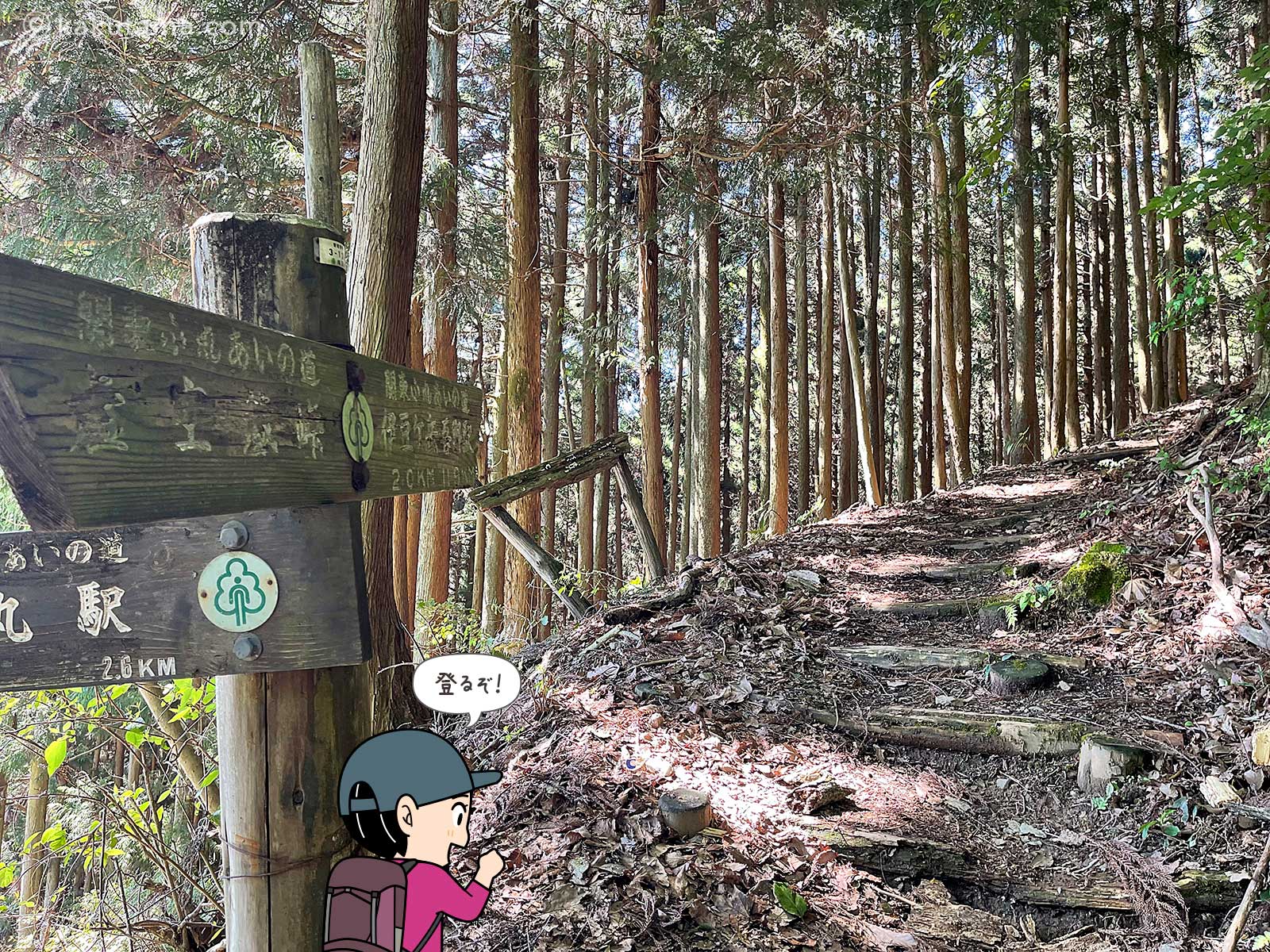 正丸峠から伊豆ヶ岳へ向かって登山を始める