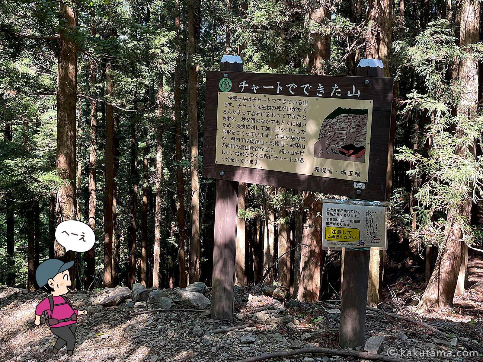 伊豆ヶ岳はチャートでできた山という看板を読む