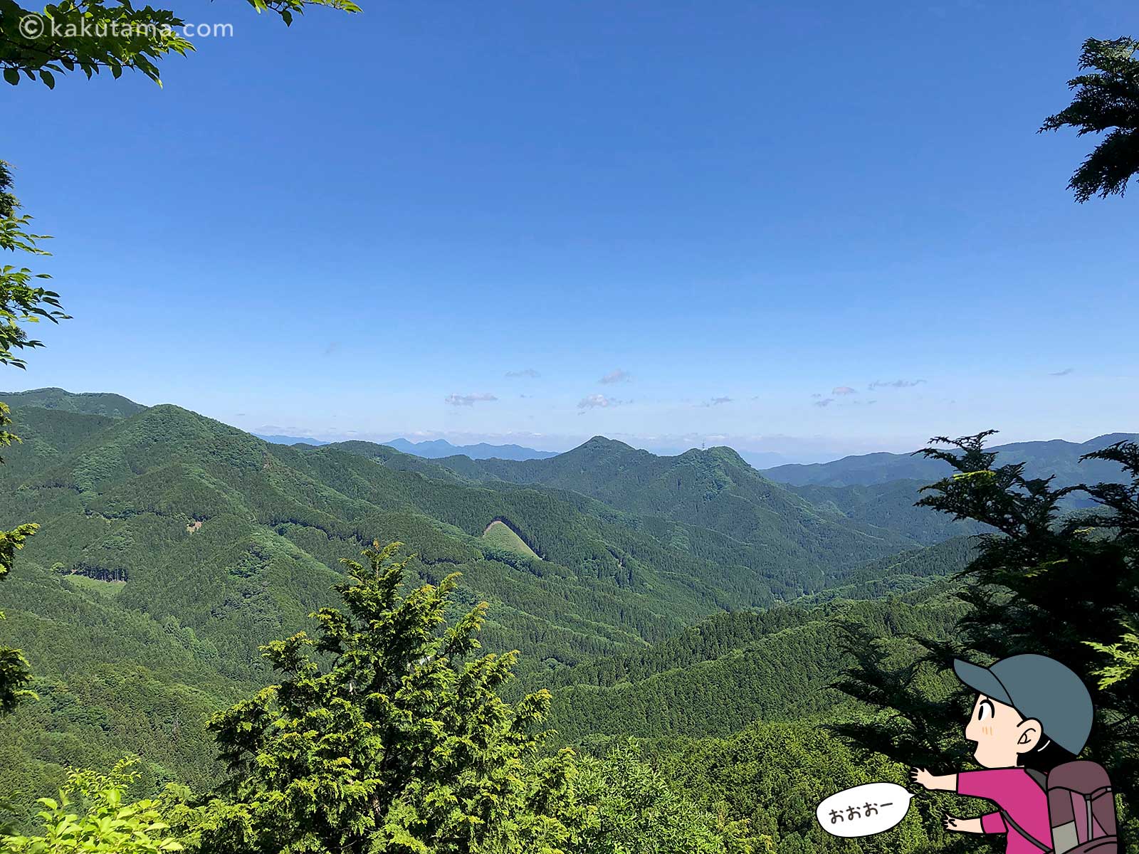 伊豆ヶ岳男坂から見る風景