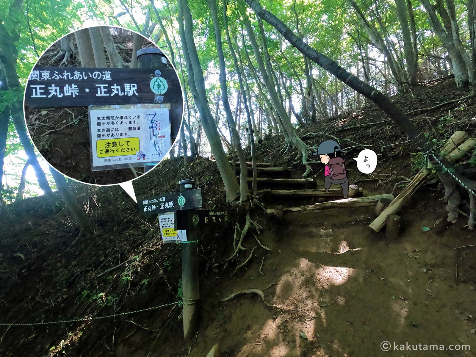 伊豆ヶ岳山頂付近に設置された道標の写真とイラスト