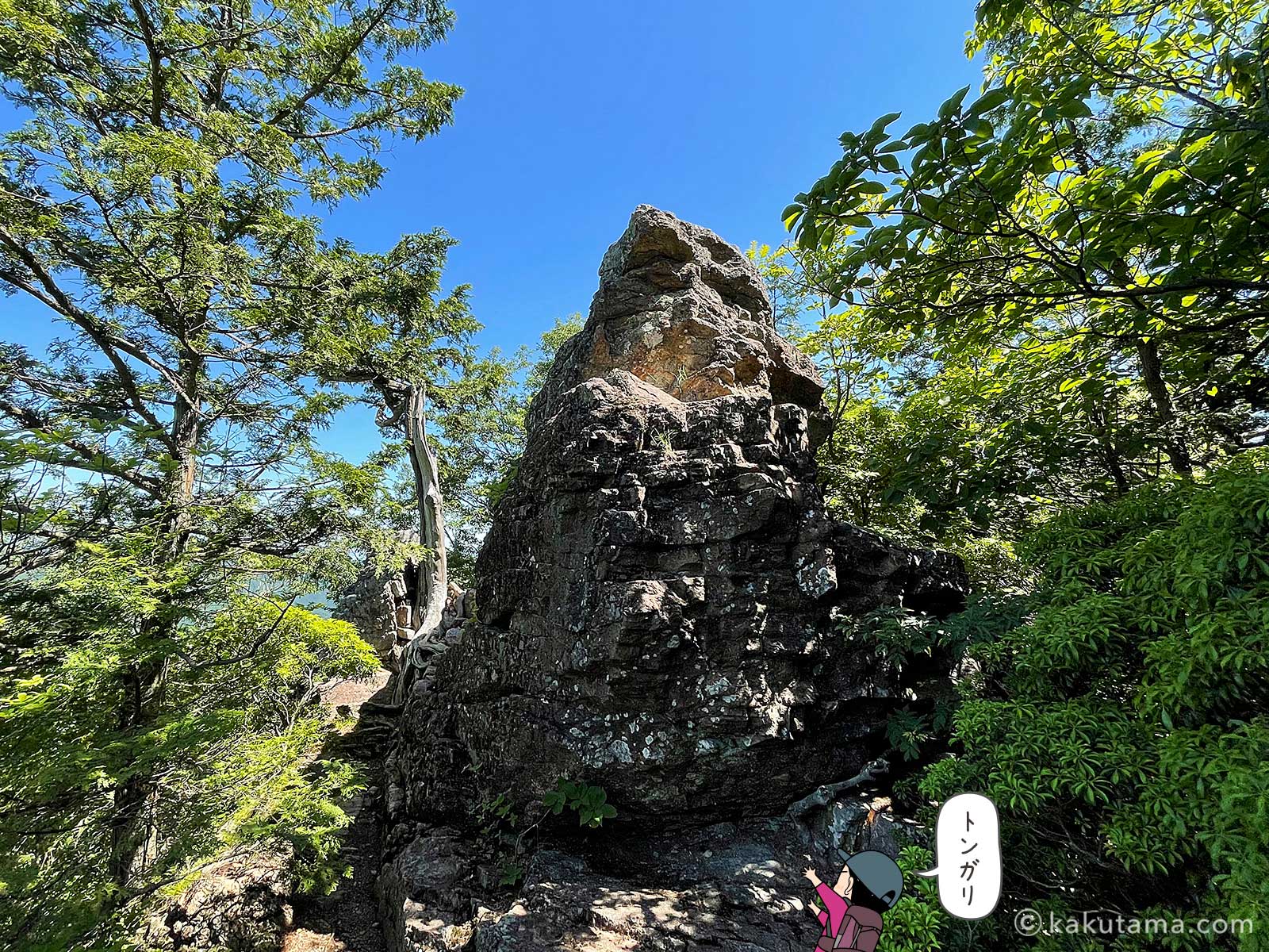 とんがった岩がある伊豆ヶ岳山頂付近の写真とイラスト