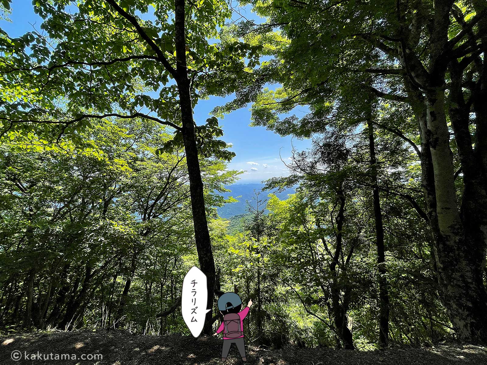 伊豆ヶ岳山頂付近からの展望の写真とイラスト