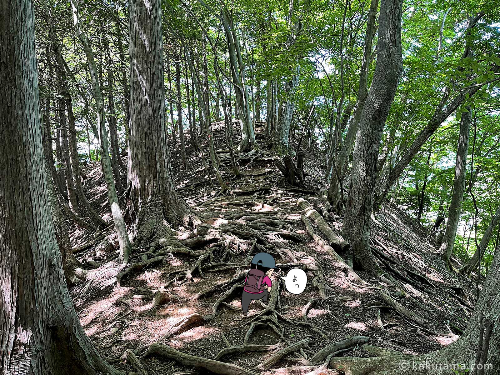 樹林帯の尾根を登る写真と登山者のイラスト