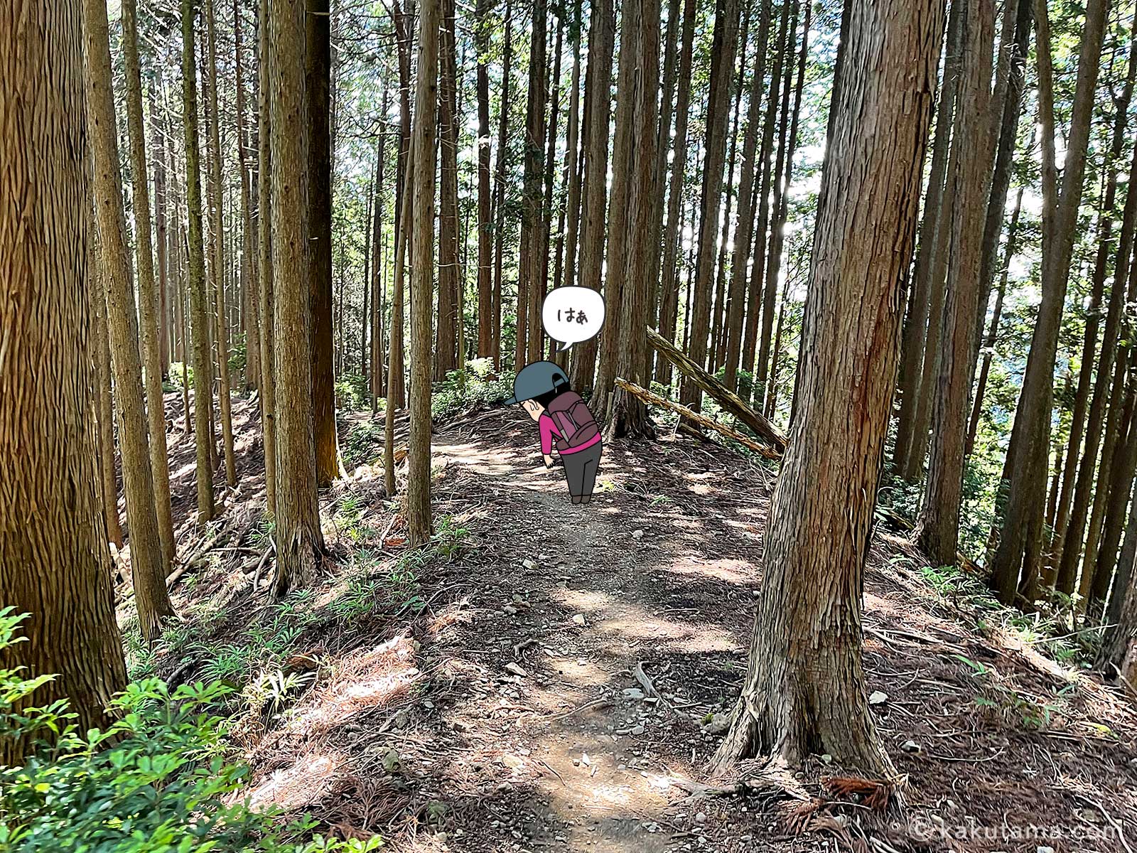 ひたすら樹林帯登山道を歩く写真と登山者のイラスト