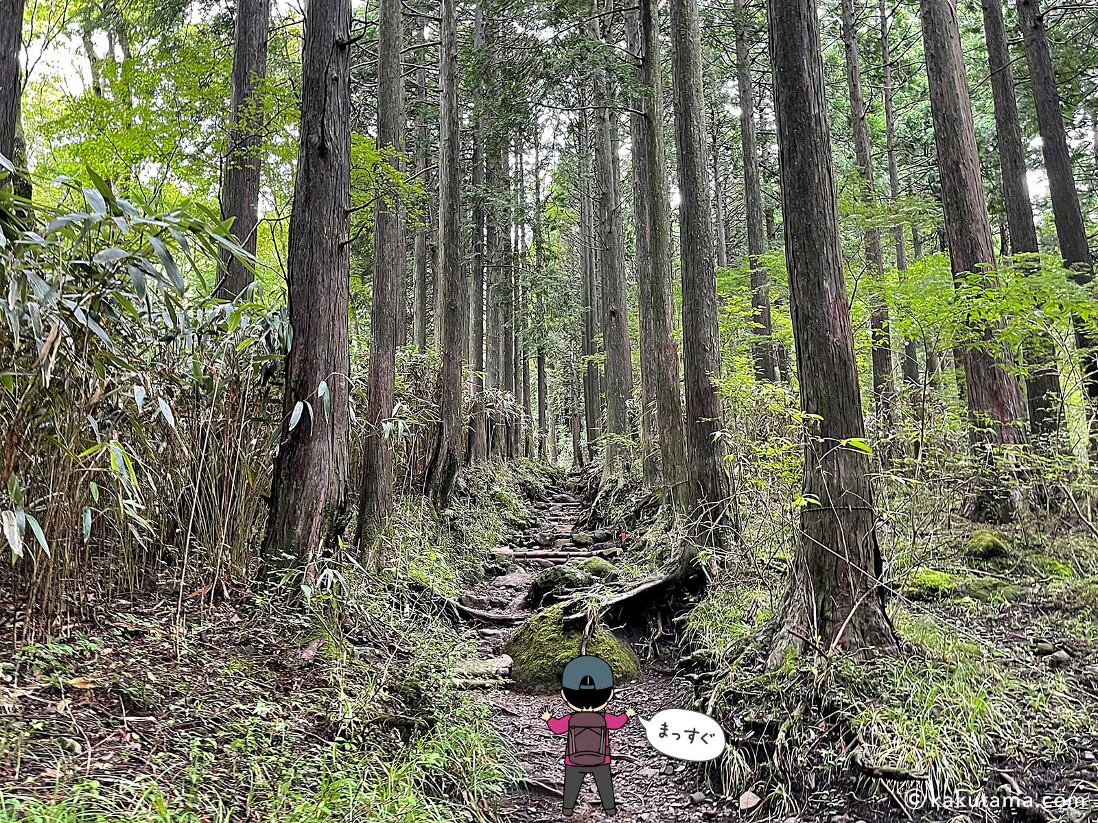 公時神社ルートを歩く写真と登山者のイラスト