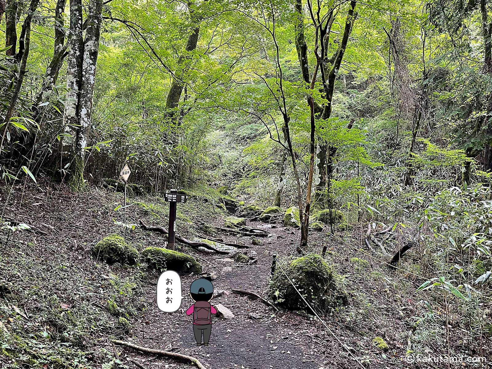公時神社ルートの木漏れ日スポットの写真と登山者のイラスト