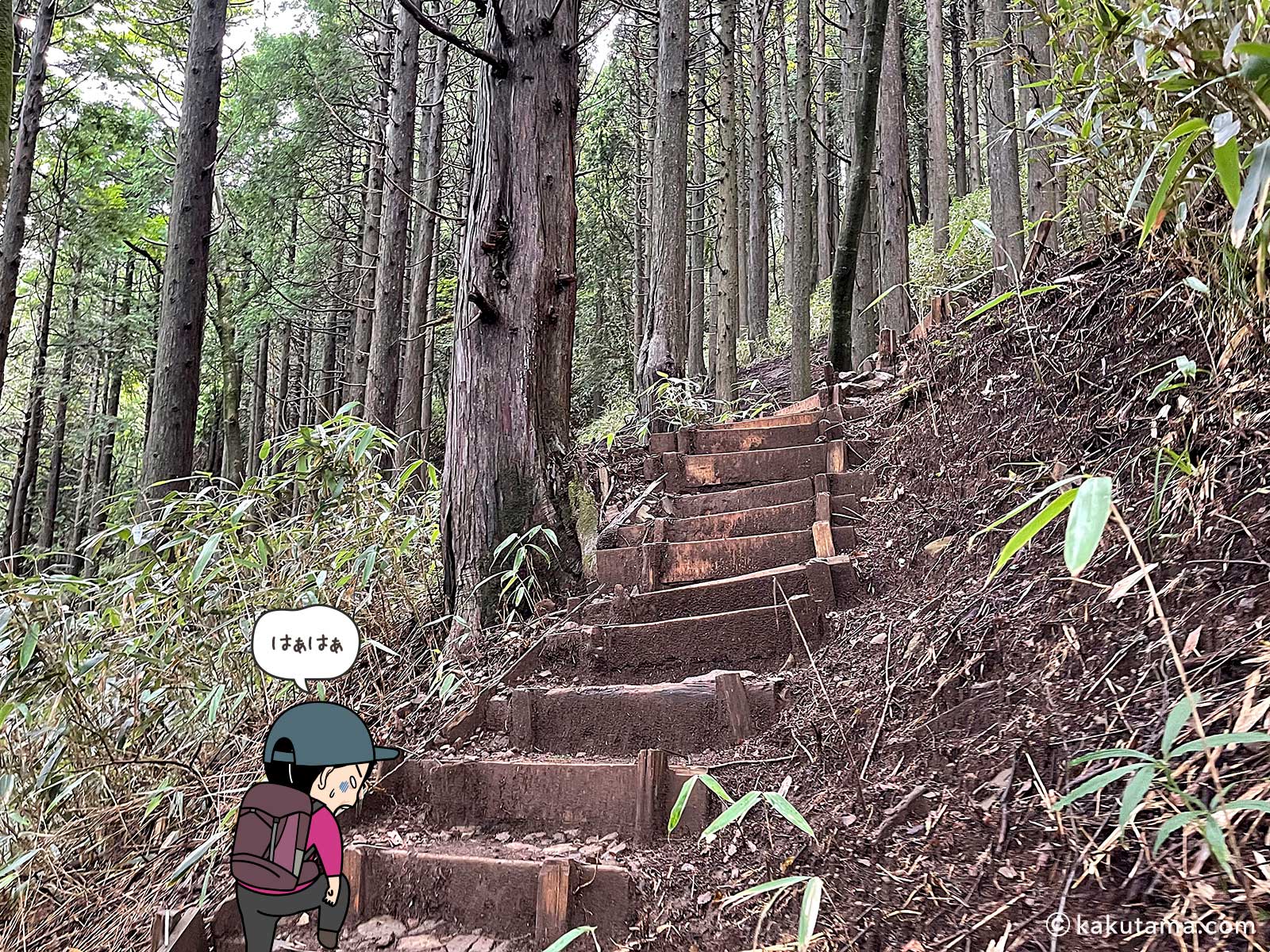 公時神社登山ルートの階段にバテる写真と登山者のイラスト
