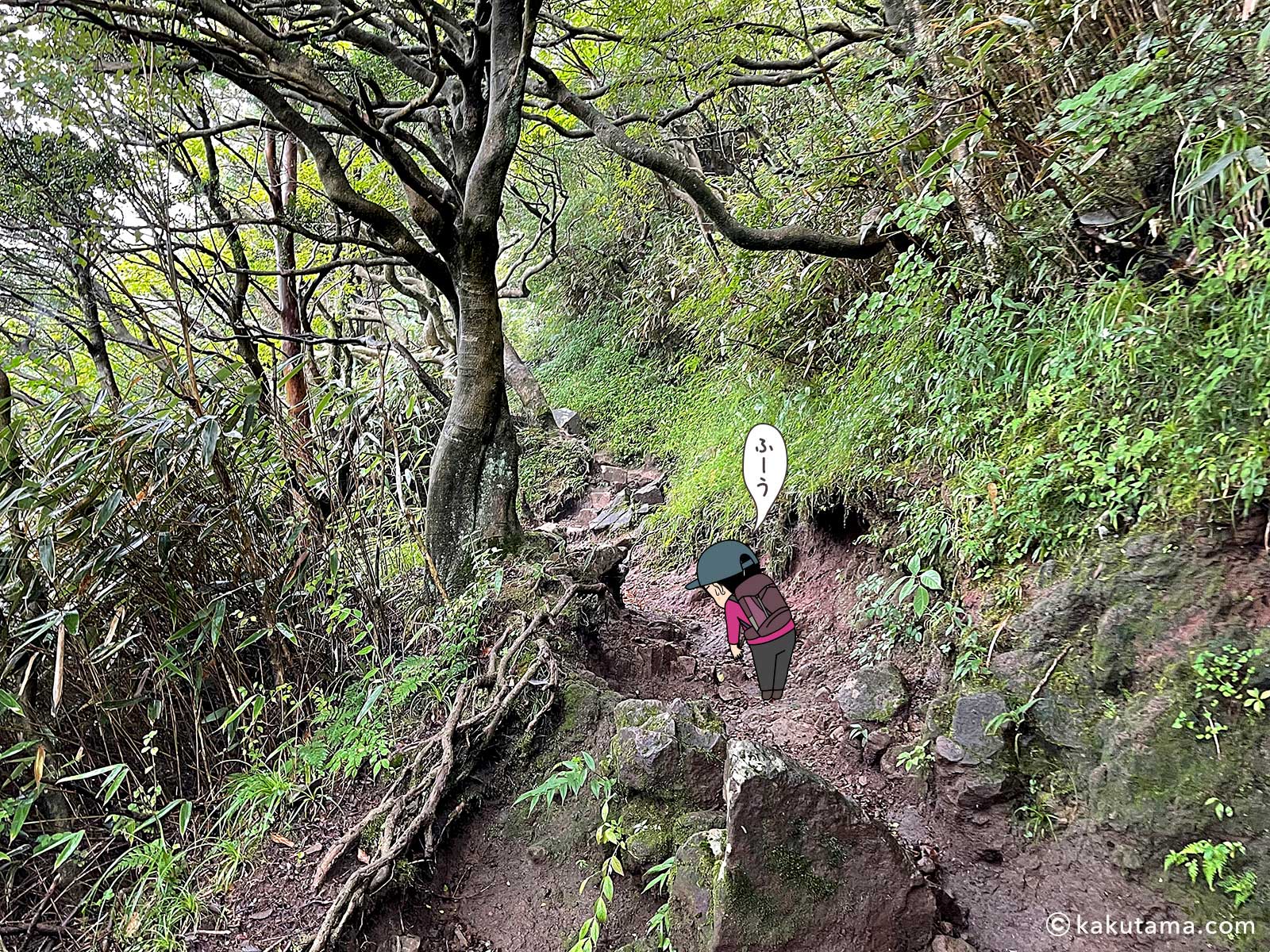 公時神社ルートをひたすら登る写真と登山者のイラスト