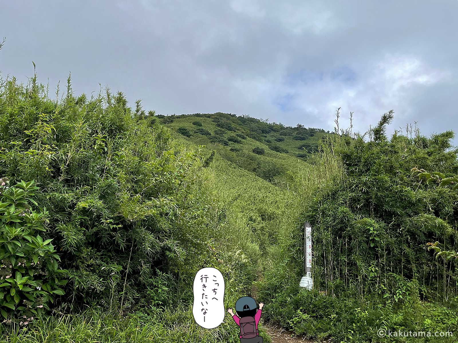 明神岳方面へ惹かれる写真と登山者のイラスト