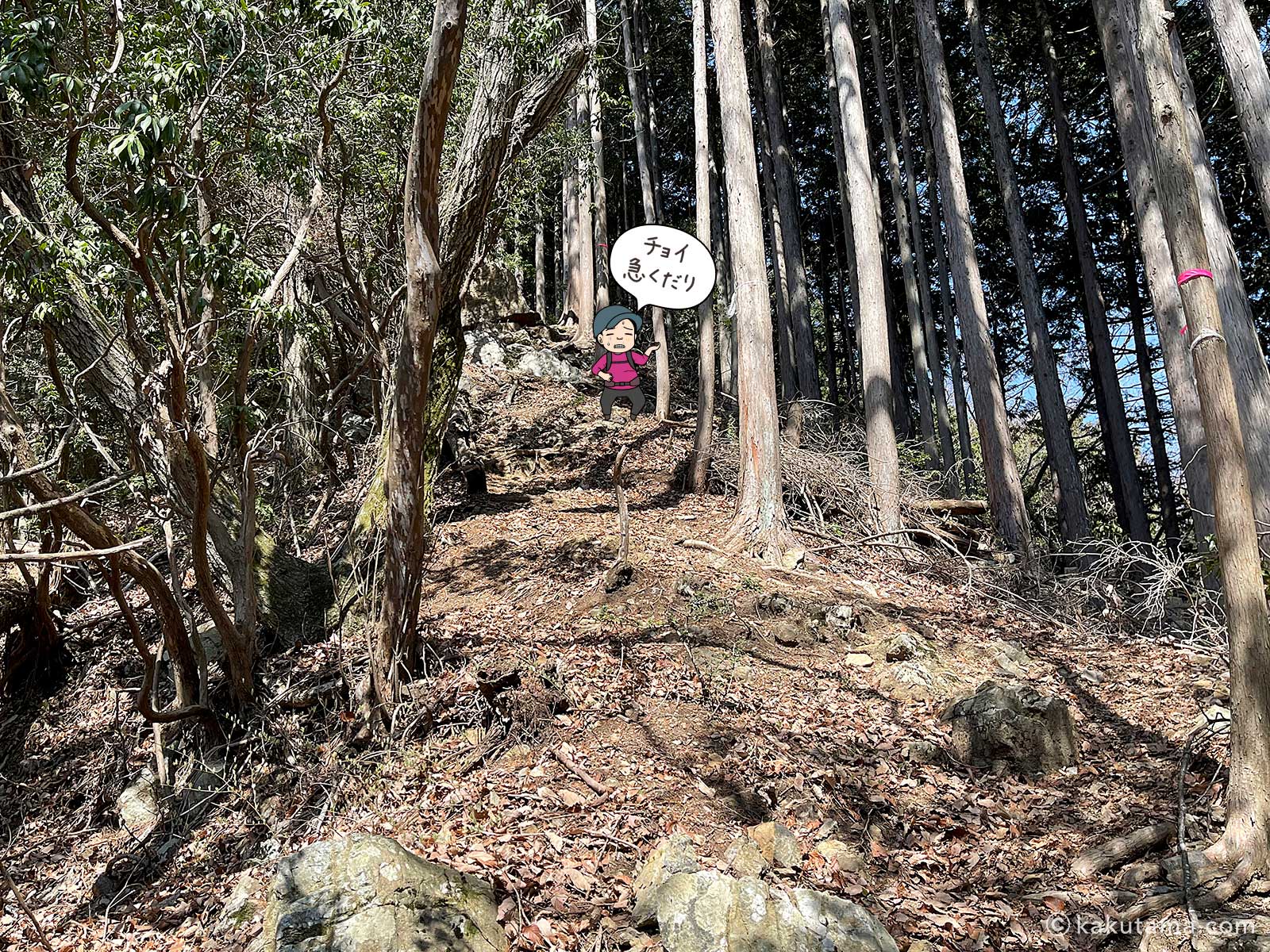 麻生山からの急な下りの写真と登山者のイラスト