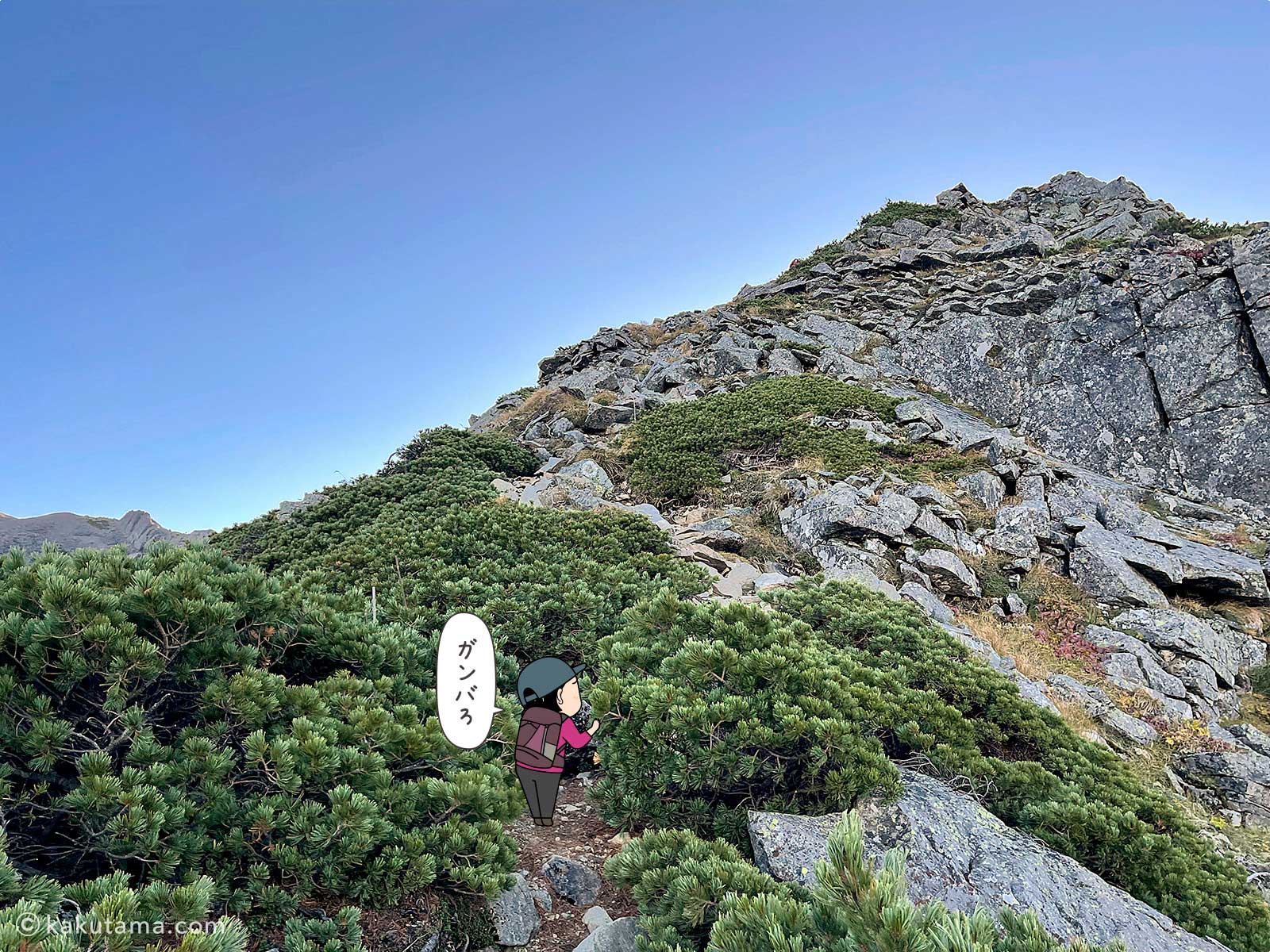 南岳新道をひたすら登る写真と登山者のイラスト