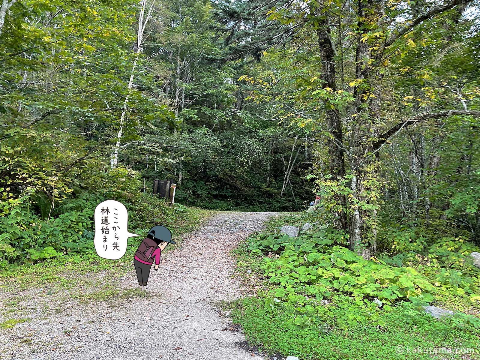 新穂高温泉へ向かって最後の林道の写真と登山者のイラスト