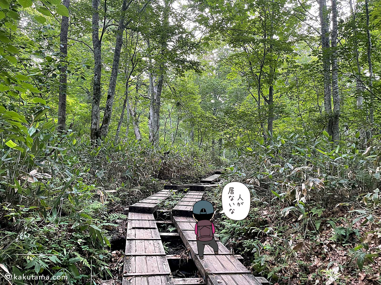 人の居ない尾瀬の木道の写真と登山者のイラスト