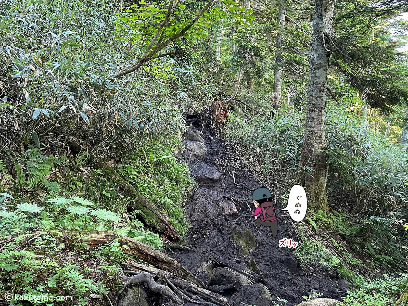 泥の急斜面で滑る登山道の見晴新道写真と登山者のイラスト