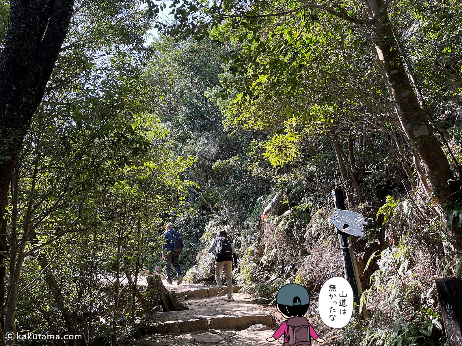 弥山登山道紅葉道コース分れから弥山山頂を目指して歩き出す写真と登山者のイラスト3