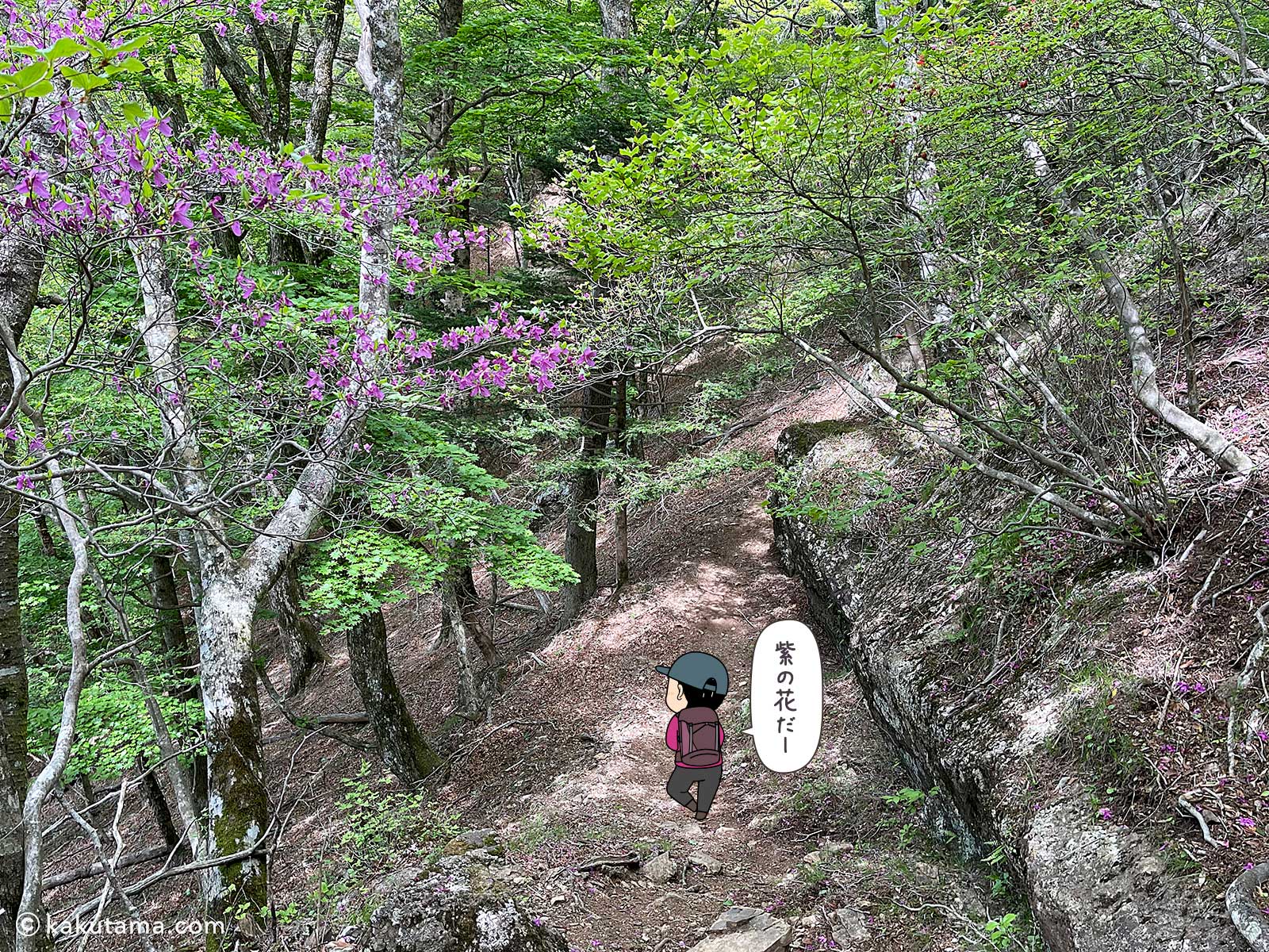 十二ヶ岳、紫の花を見る写真と登山者のイラスト